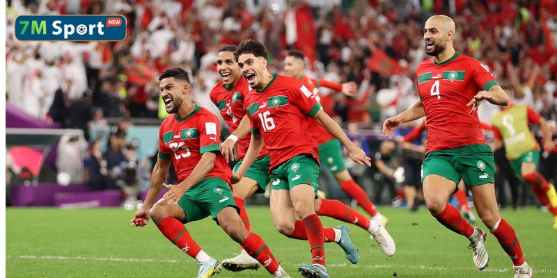 Nhóm Ngựa ô lần đầu tham dự giải đấu với Uzbekistan và Morocco cũng được đánh giá rất cao